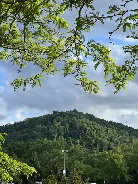 Green serenity under a vast, cloud-streaked sky.